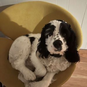 Meet your Posher, Marina